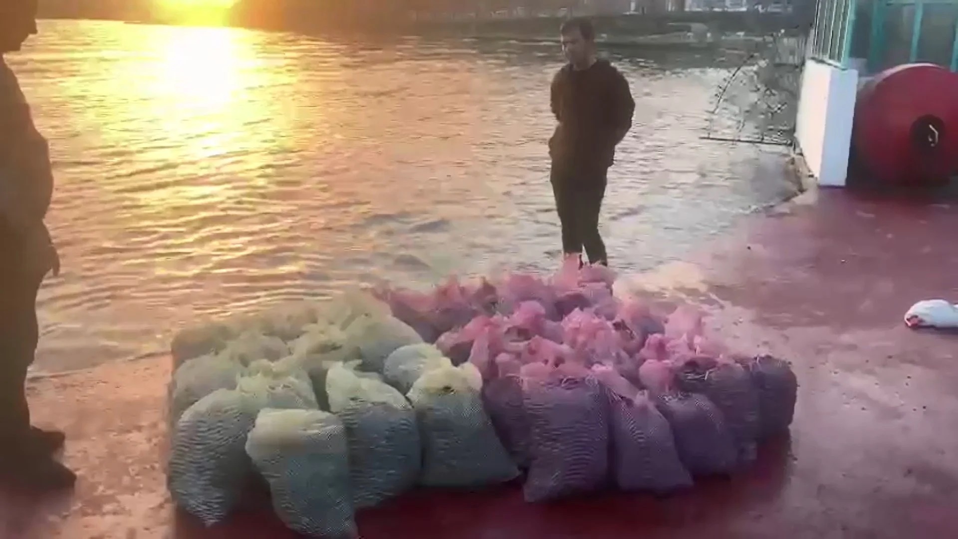 Kadıköy’de 1 ton kaçak midye avlayan kişiye, ekipler 24 bin liralık ceza kesti.