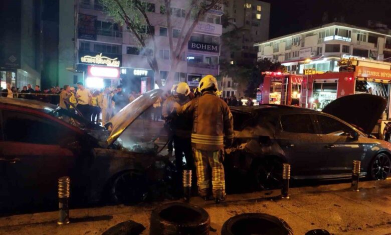 Kadıköy'de park halindeki 2 araç alevlere teslim olurken, otomobiller kullanılamaz hale geldi.