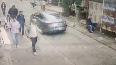 Kadıköy'de pitbull cinsi köpek, kedi ve çevredekilere saldırdı. Olay sebebiyle büyük panik yaşandı.