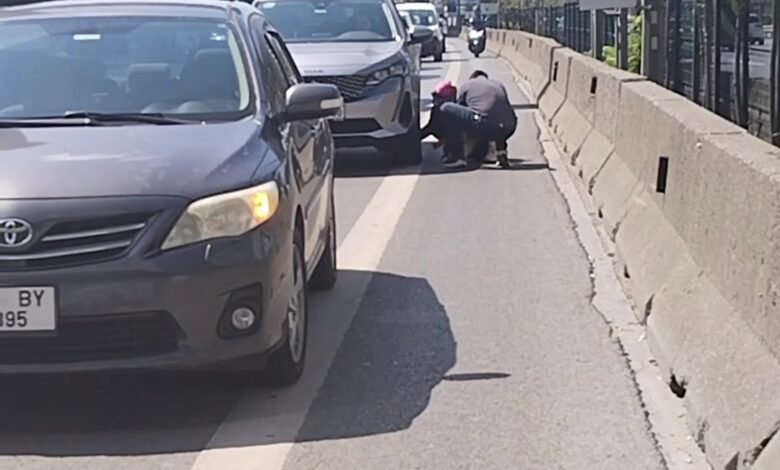 Kadıköy D-100 karayolunda yavru kedi kurtarıldı 1 kadikoy yavru kedi