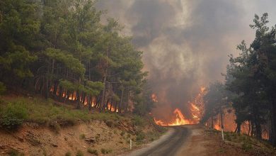 İzmir, Manisa ve Hatay'da çıkan büyük çaplı orman yangınlarıyla mücadele sürüyor. Son 3 günde çıkan 263 yangının 259’u kontrol altına alındı.