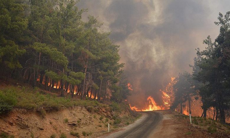 İzmir, Manisa ve Hatay'da çıkan büyük çaplı orman yangınlarıyla mücadele sürüyor. Son 3 günde çıkan 263 yangının 259’u kontrol altına alındı.