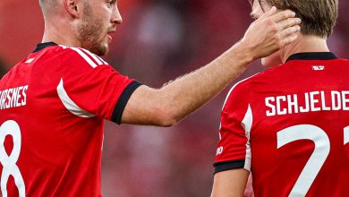 Feyenoord'u eleyen Fenerbahçe'nin Şampiyonlar Ligi play-off turundaki rakibi, Nice'i eleyen Portekiz temsilcisi Benfica oldu