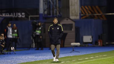 Fenerbahçe Teknik Direktörü Domenico Tedesco, GNK Dinamo Zagreb maçının ardından garip açıklamalarda bulundu