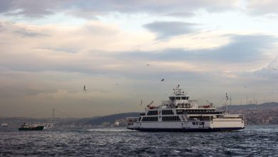 İstanbul Boğazı'nda sefer yapan bir şehir hatları vapuru